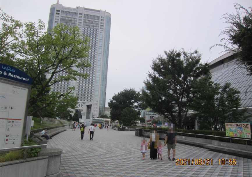 投稿の添付画像