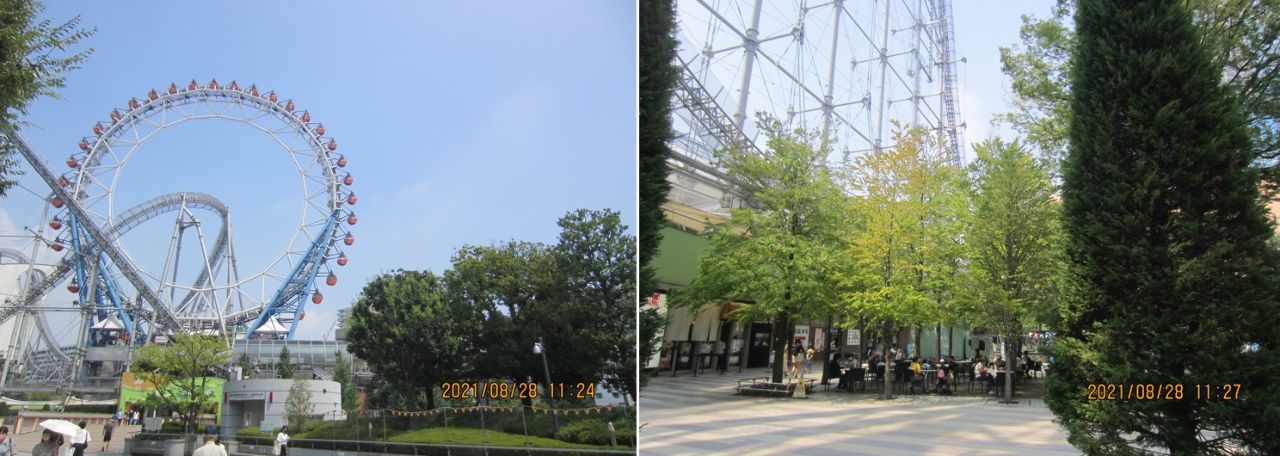 投稿の添付画像