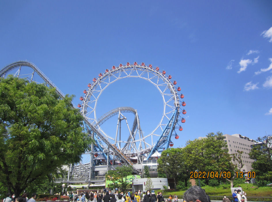 投稿の添付画像