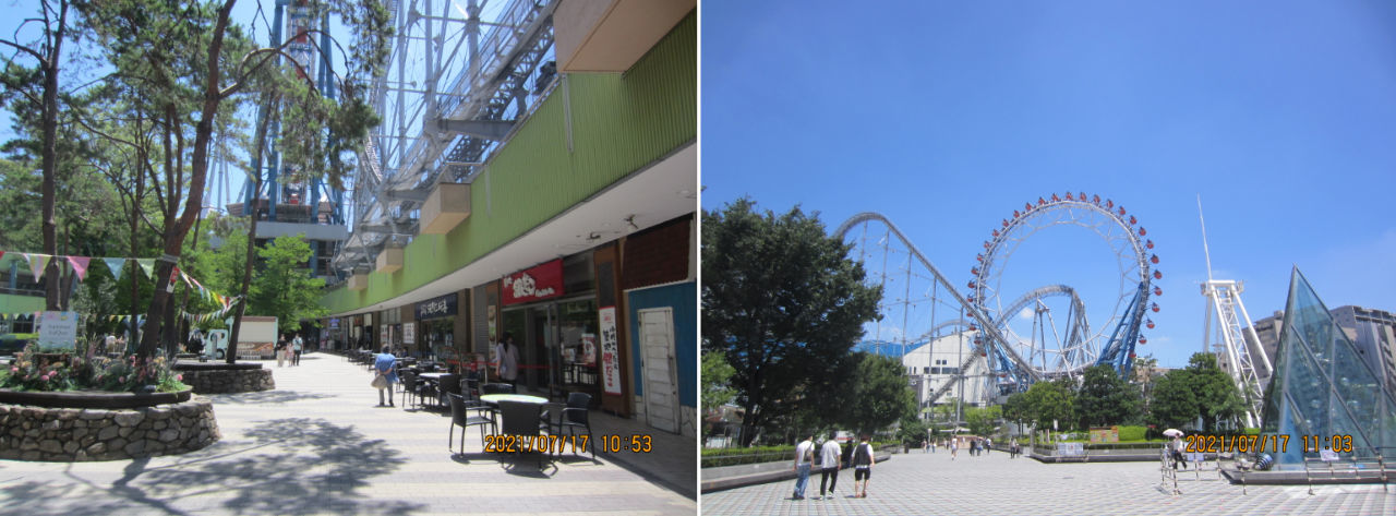 投稿の添付画像