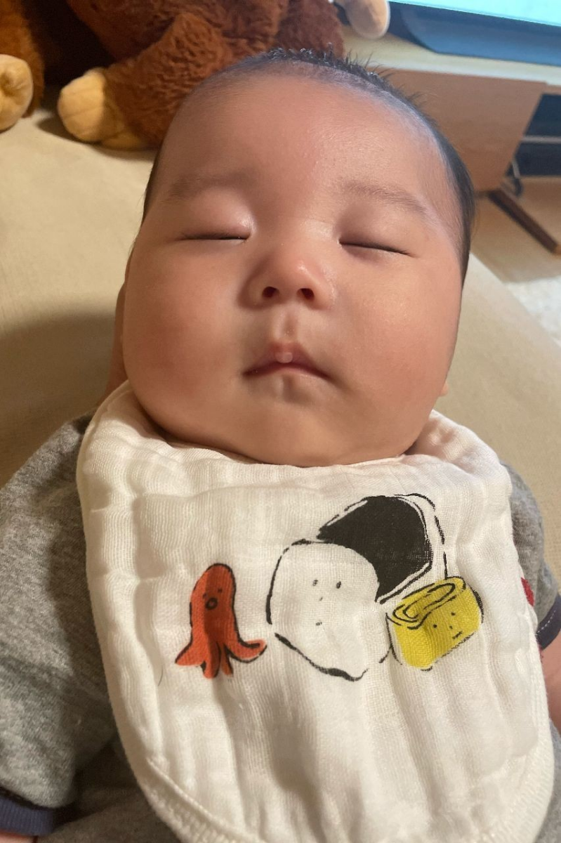 投稿の添付画像