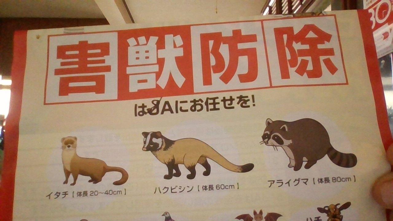 投稿の添付画像