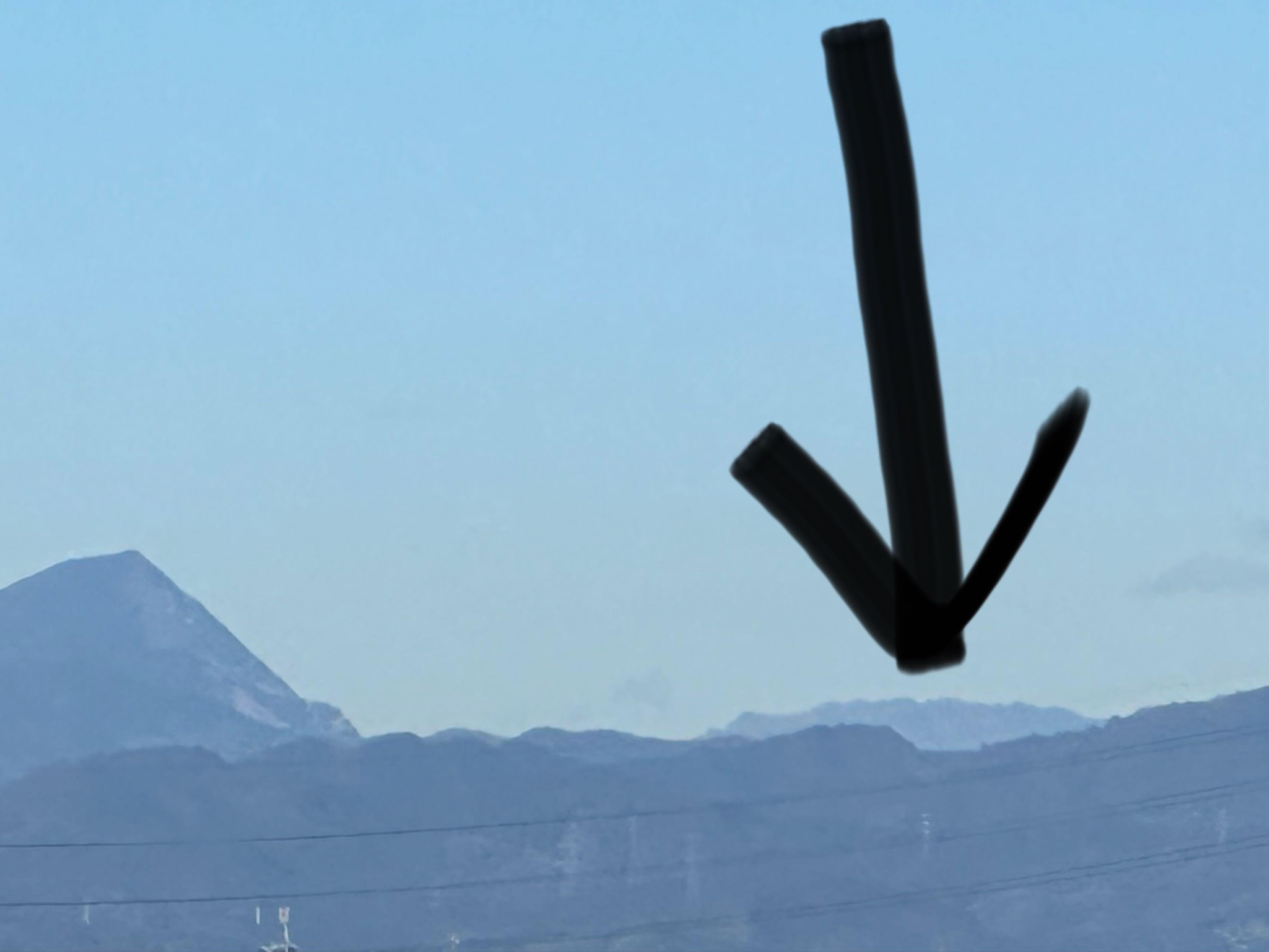 投稿の添付画像