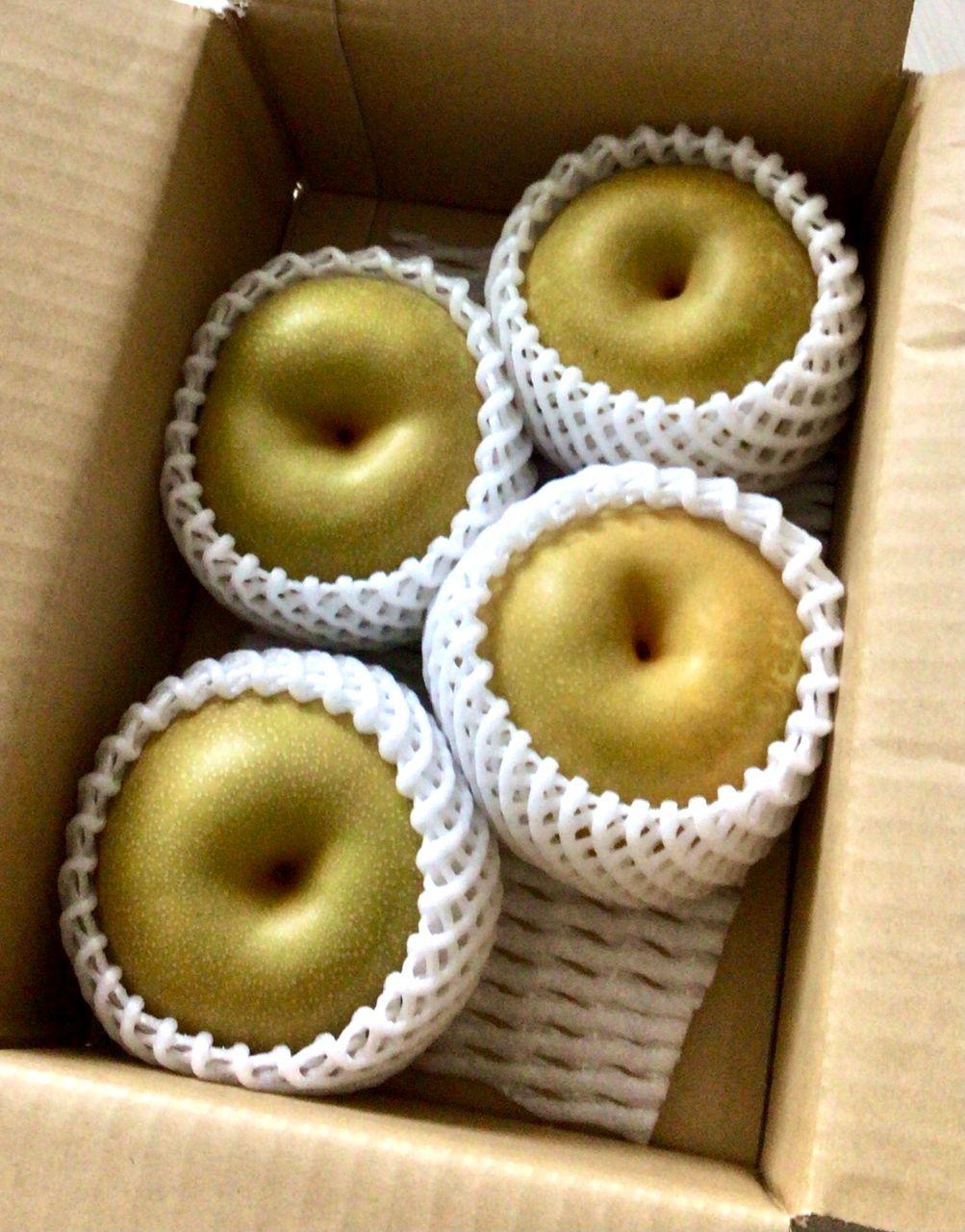 投稿の添付画像