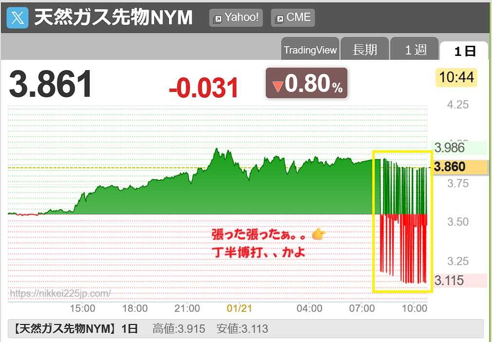 投稿の添付画像