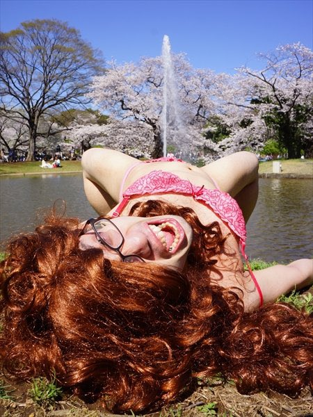 投稿の添付画像