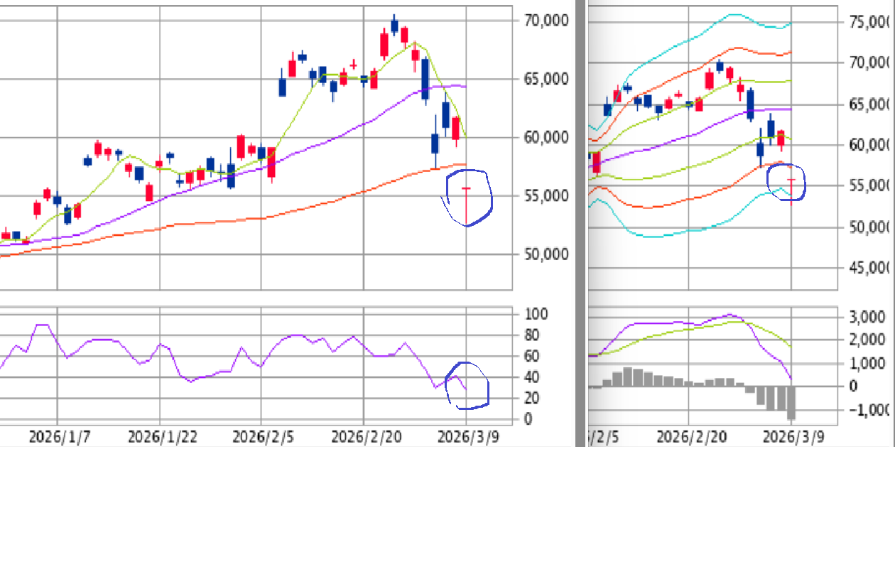投稿の添付画像