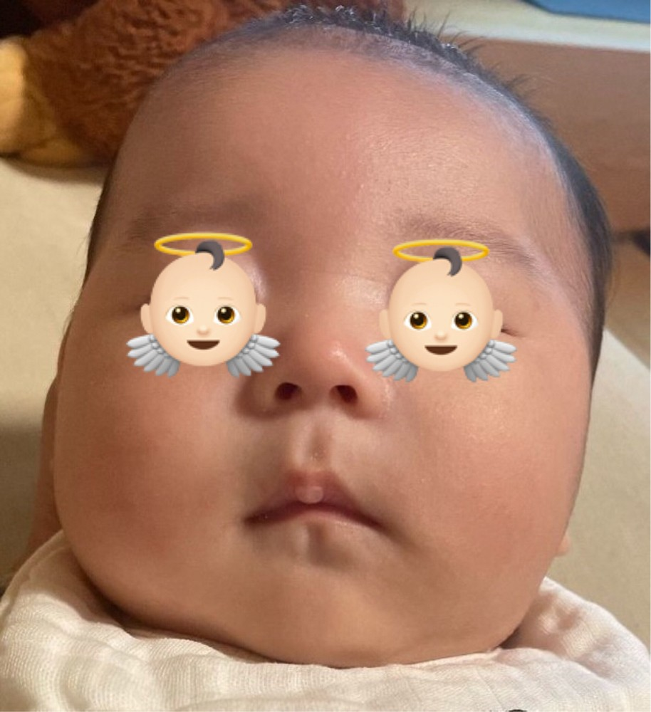 投稿の添付画像