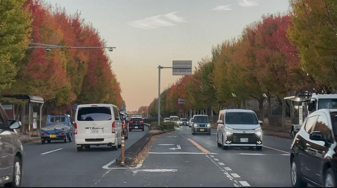 株)シマノ【7309】：掲示板 - Yahoo!ファイナンス