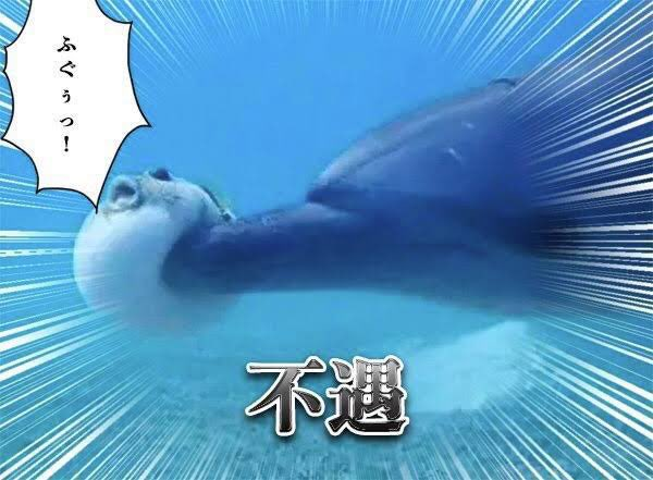 投稿の添付画像