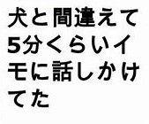 投稿の添付画像