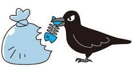 投稿の添付画像