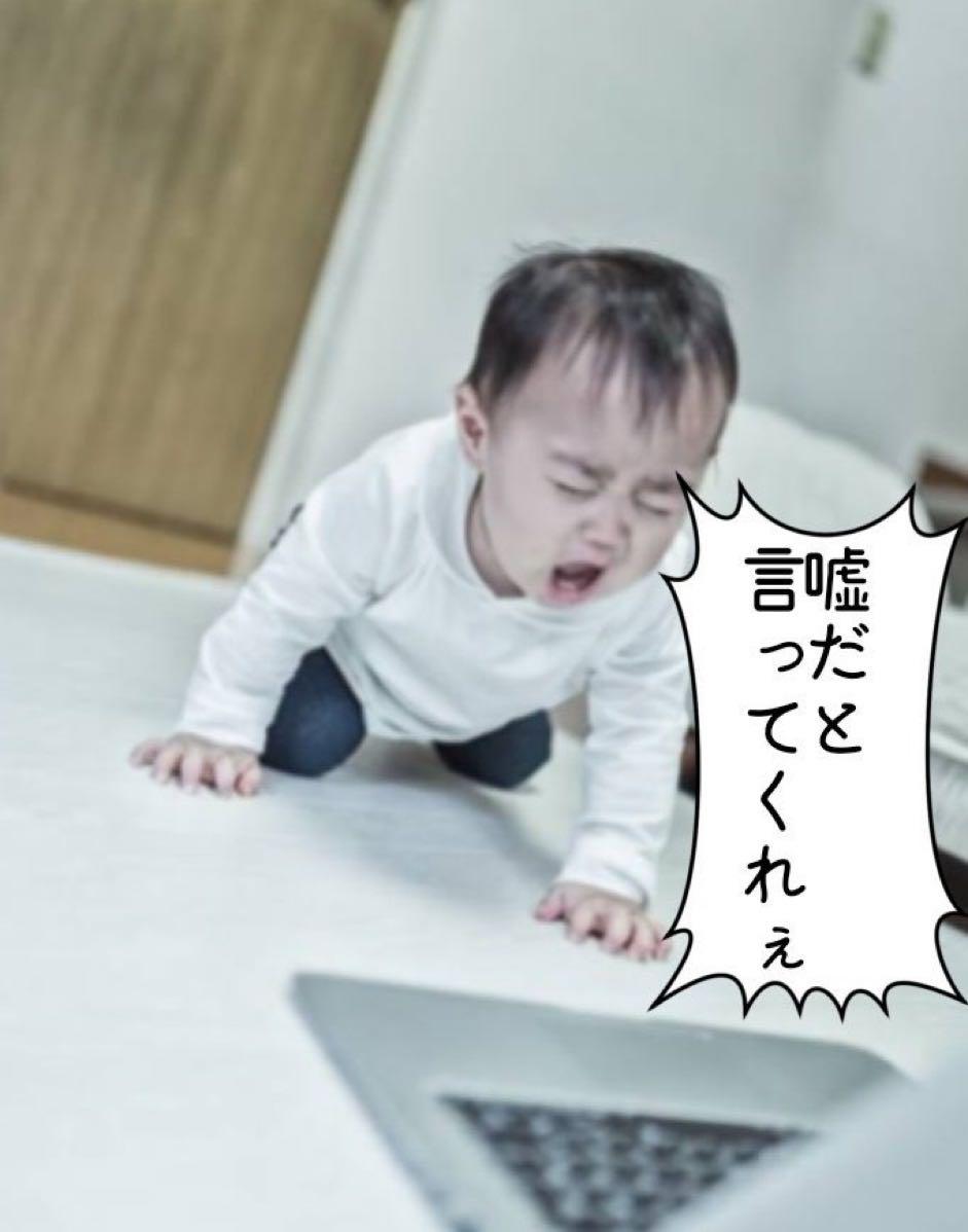 投稿の添付画像