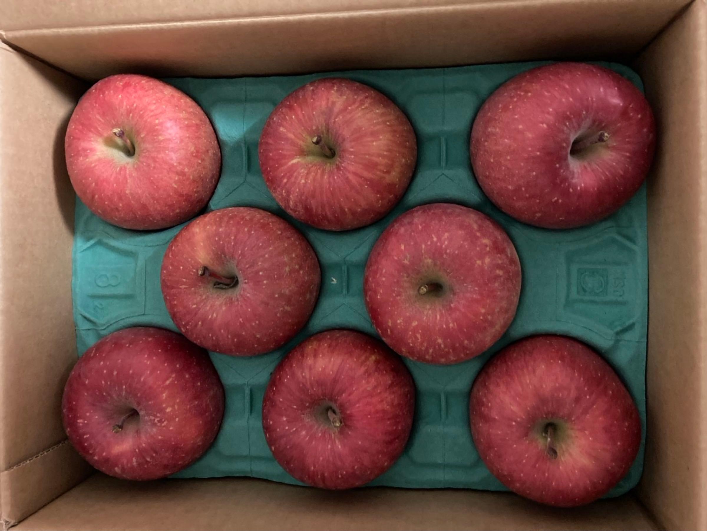 投稿の添付画像