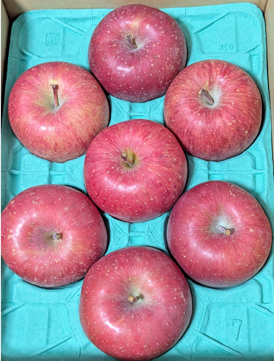 投稿の添付画像