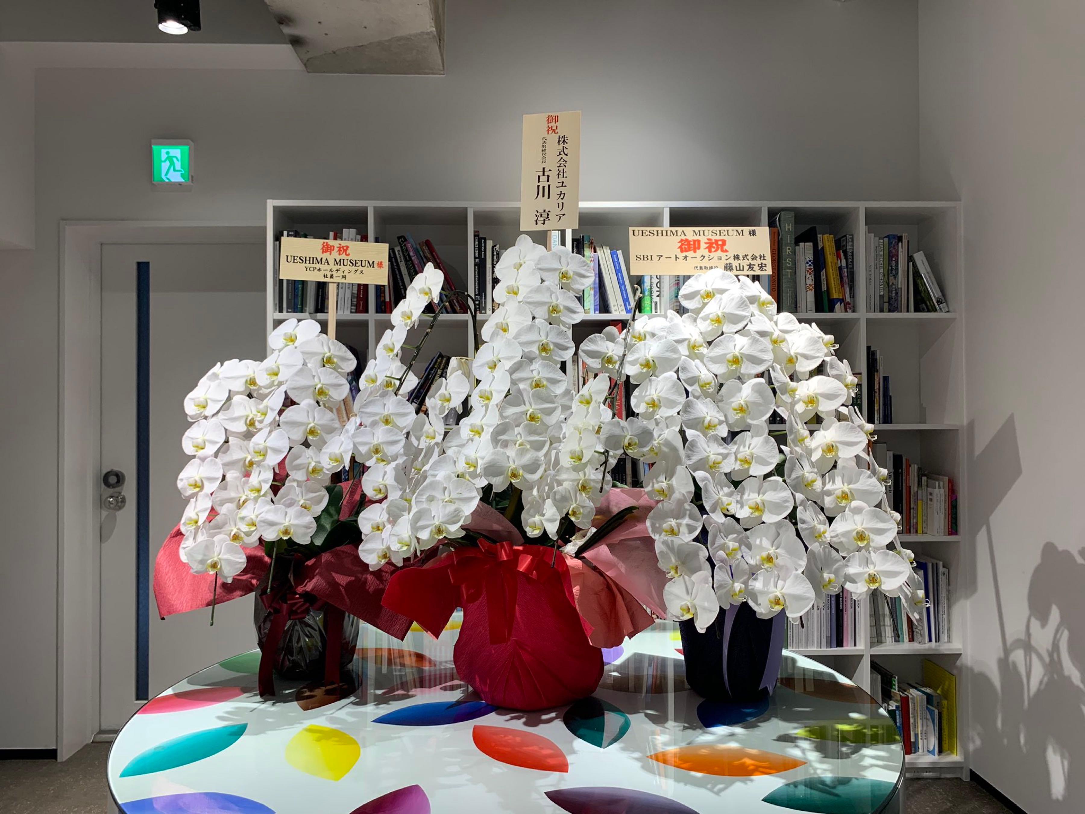 投稿の添付画像