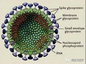 証券会社の注目記事はどうか 参考情報図