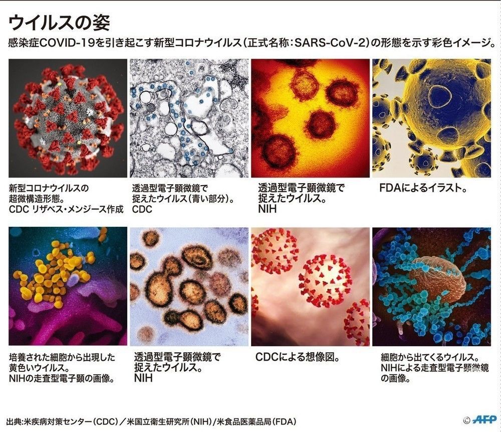 証券会社の注目記事はどうか 新型コロナウイルスの彩色イメージ(2020年3月3日作成)。(c)John SAEKI / AFP