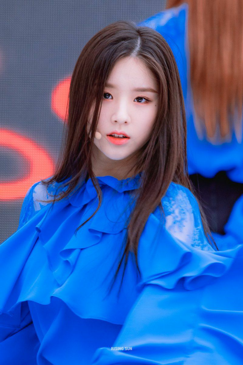 投稿の添付画像