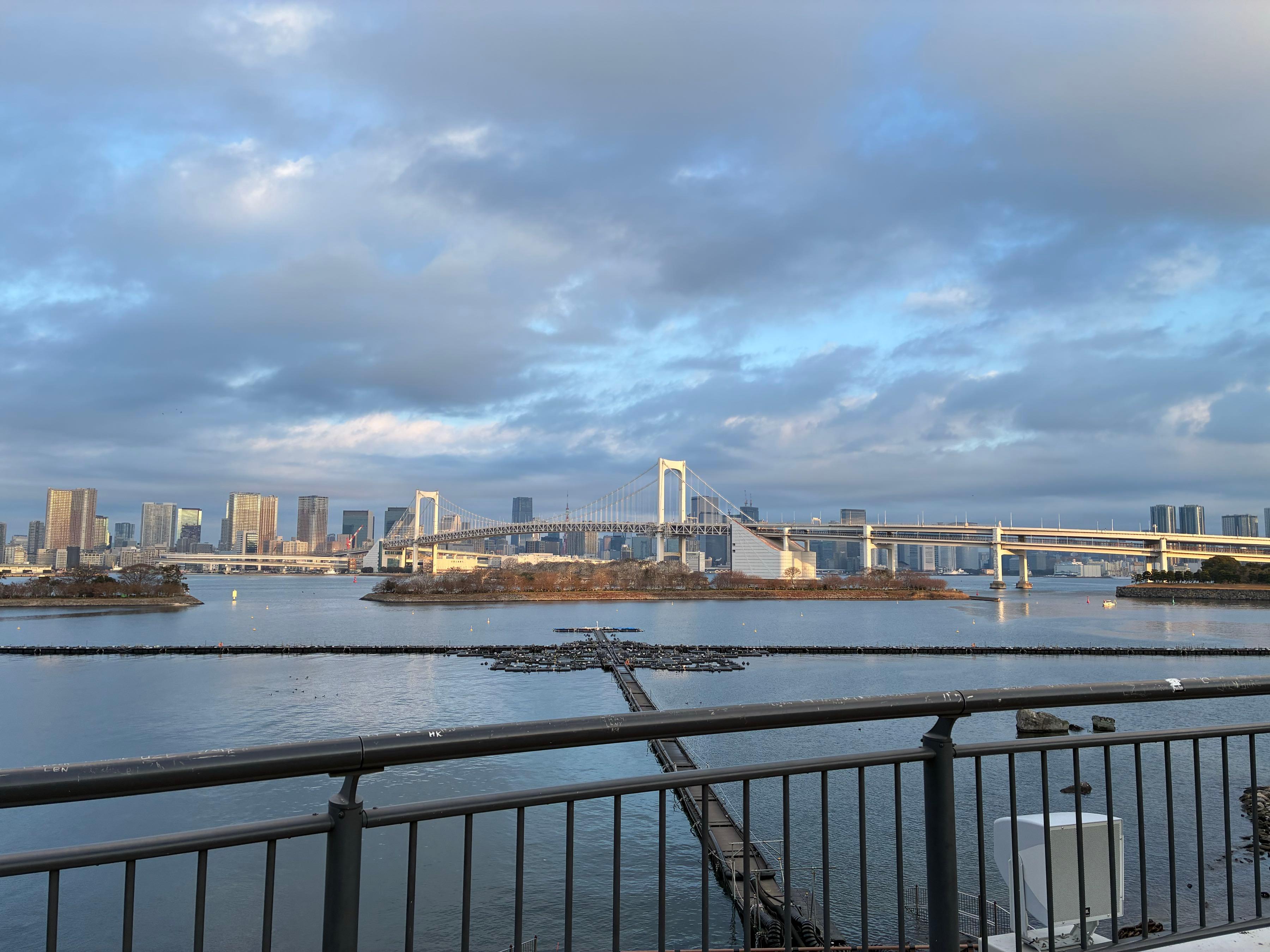 投稿の添付画像