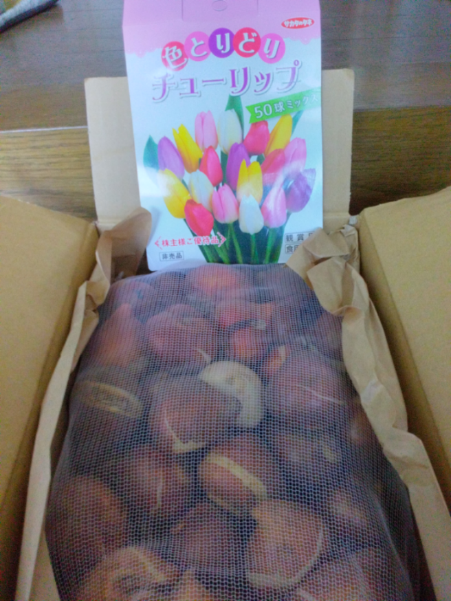 投稿の添付画像