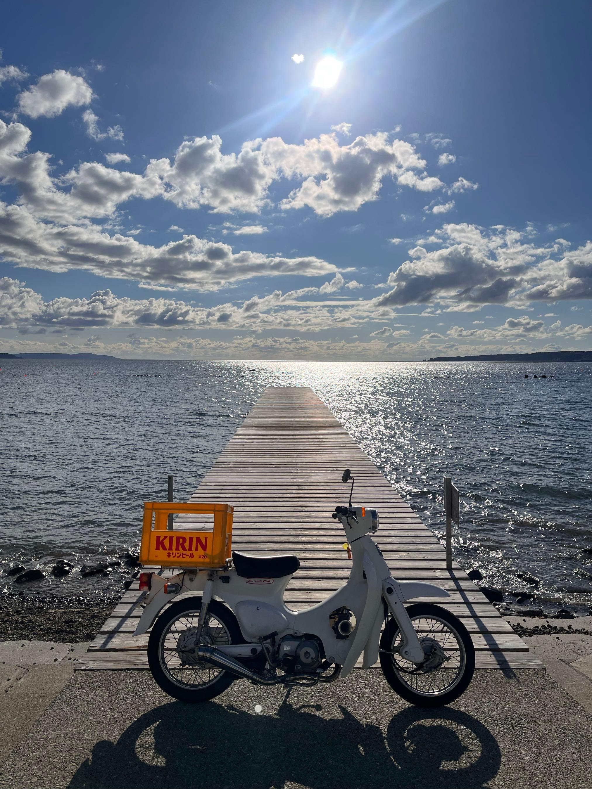 投稿の添付画像