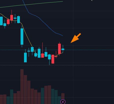 投稿の添付画像