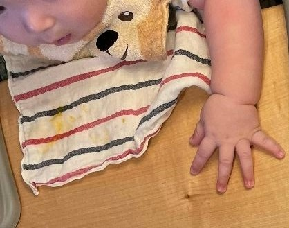 投稿の添付画像