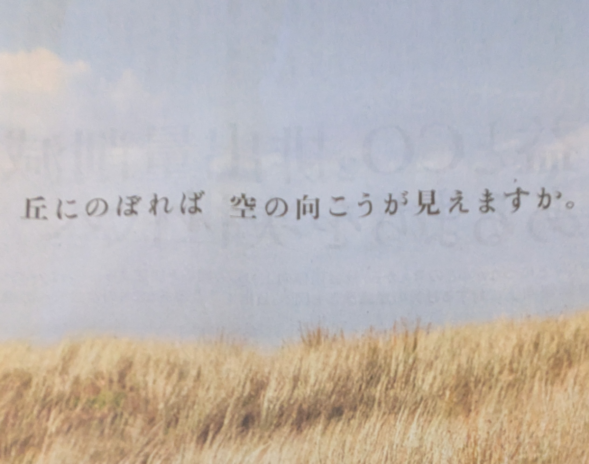 投稿の添付画像