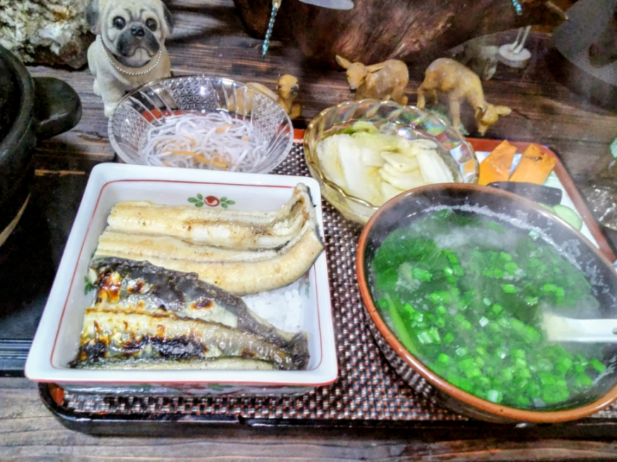 投稿の添付画像