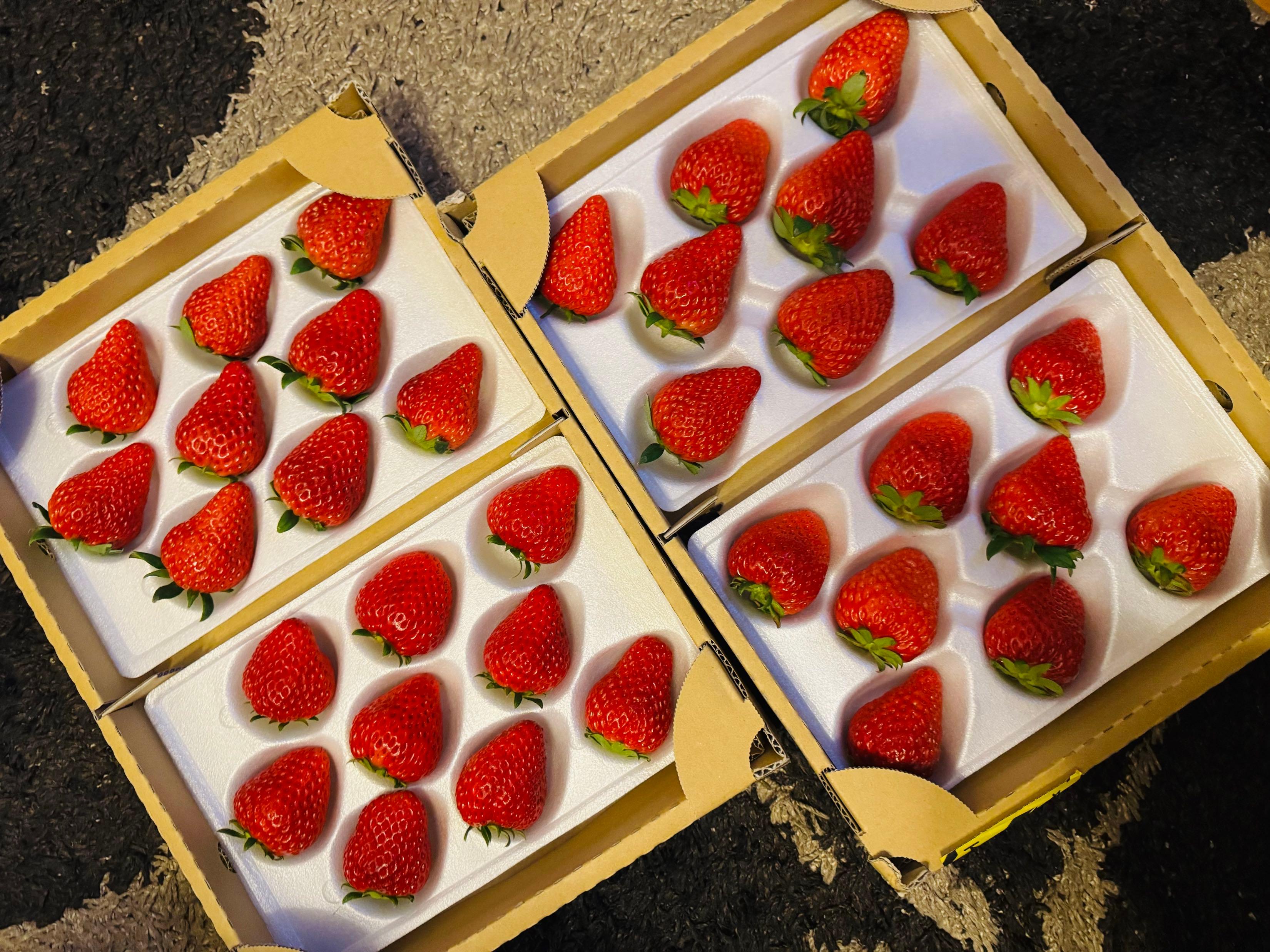 投稿の添付画像