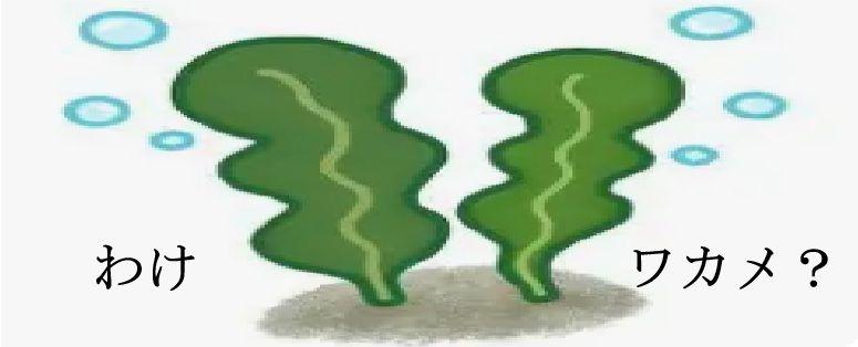 投稿の添付画像