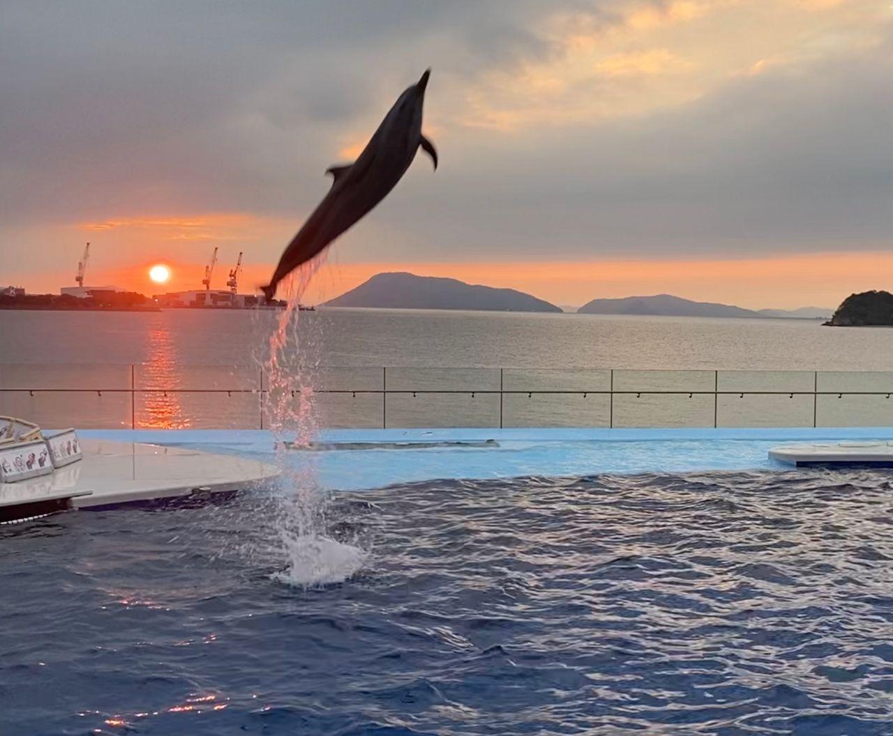 投稿の添付画像