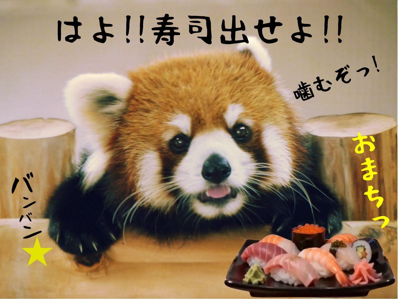 投稿の添付画像