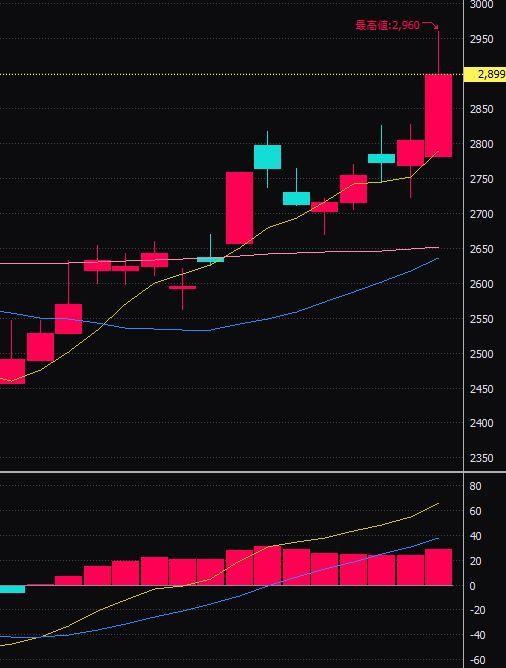 投稿の添付画像