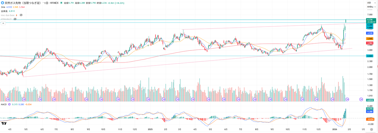投稿の添付画像