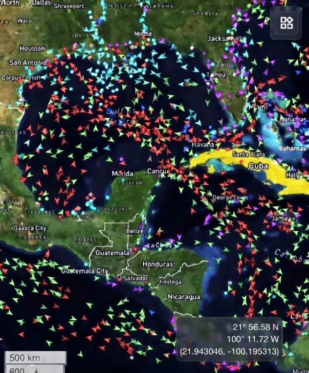 投稿の添付画像