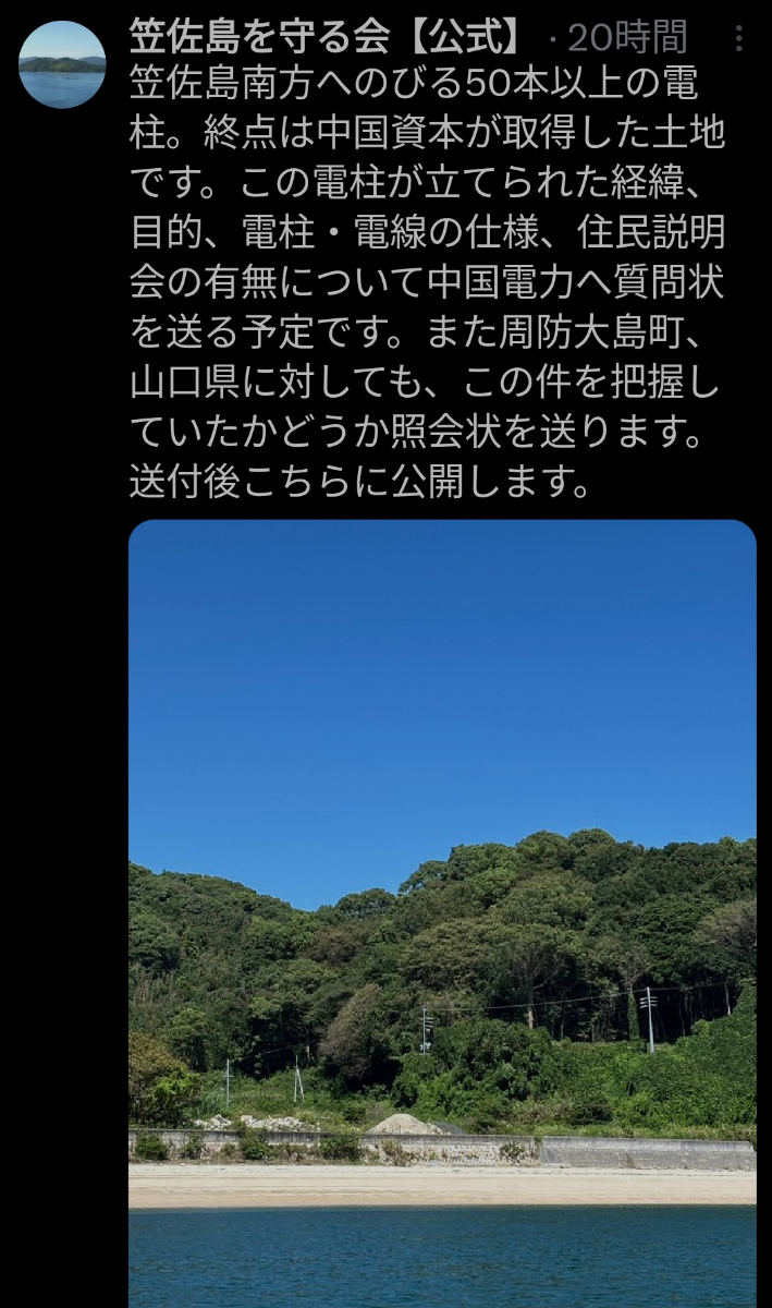 投稿の添付画像