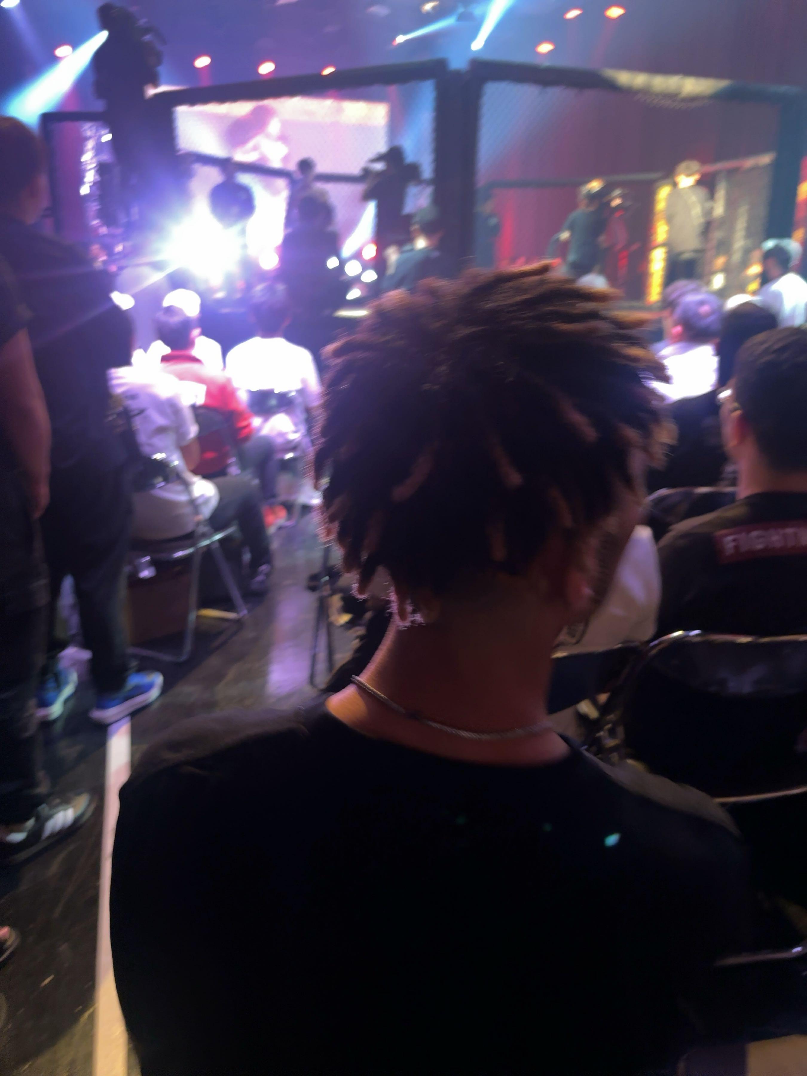 投稿の添付画像