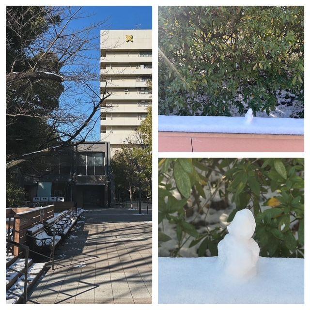 投稿の添付画像