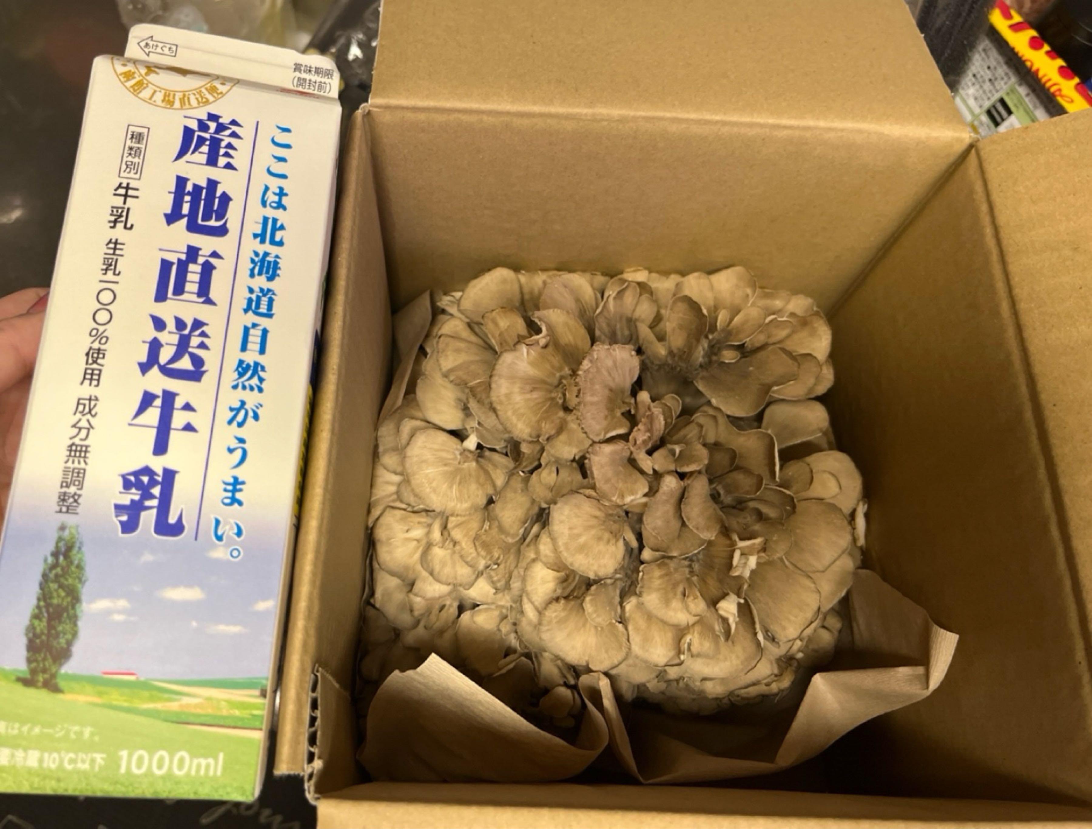 投稿の添付画像