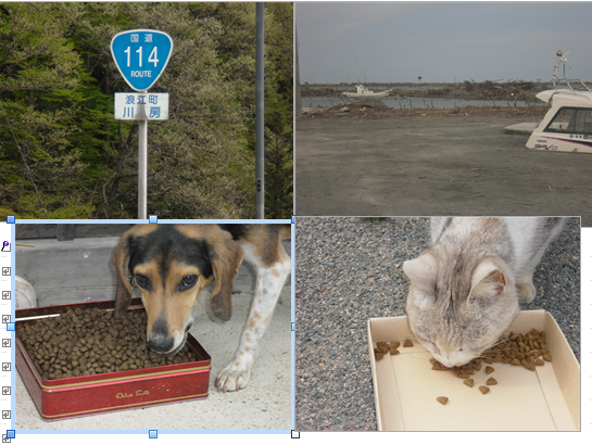 投稿の添付画像