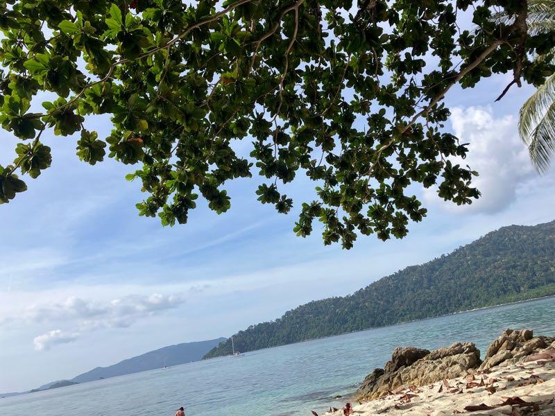 投稿の添付画像