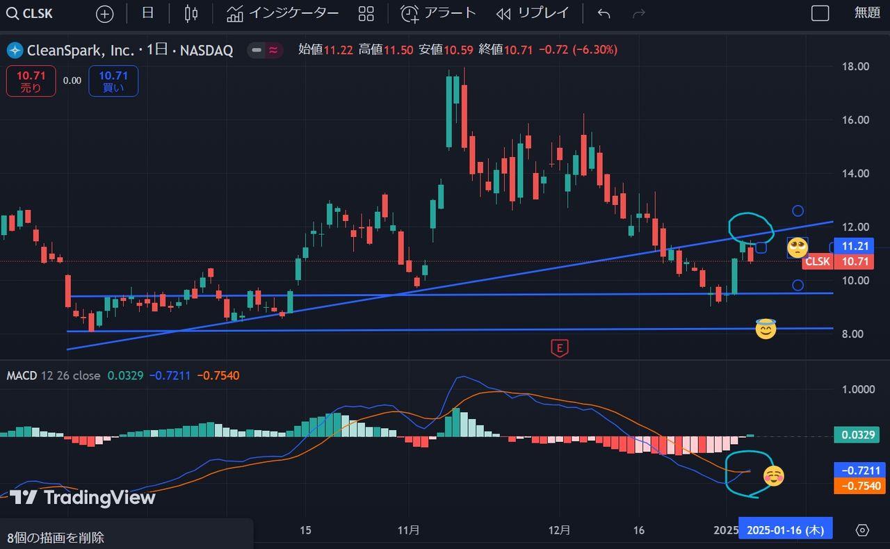 投稿の添付画像