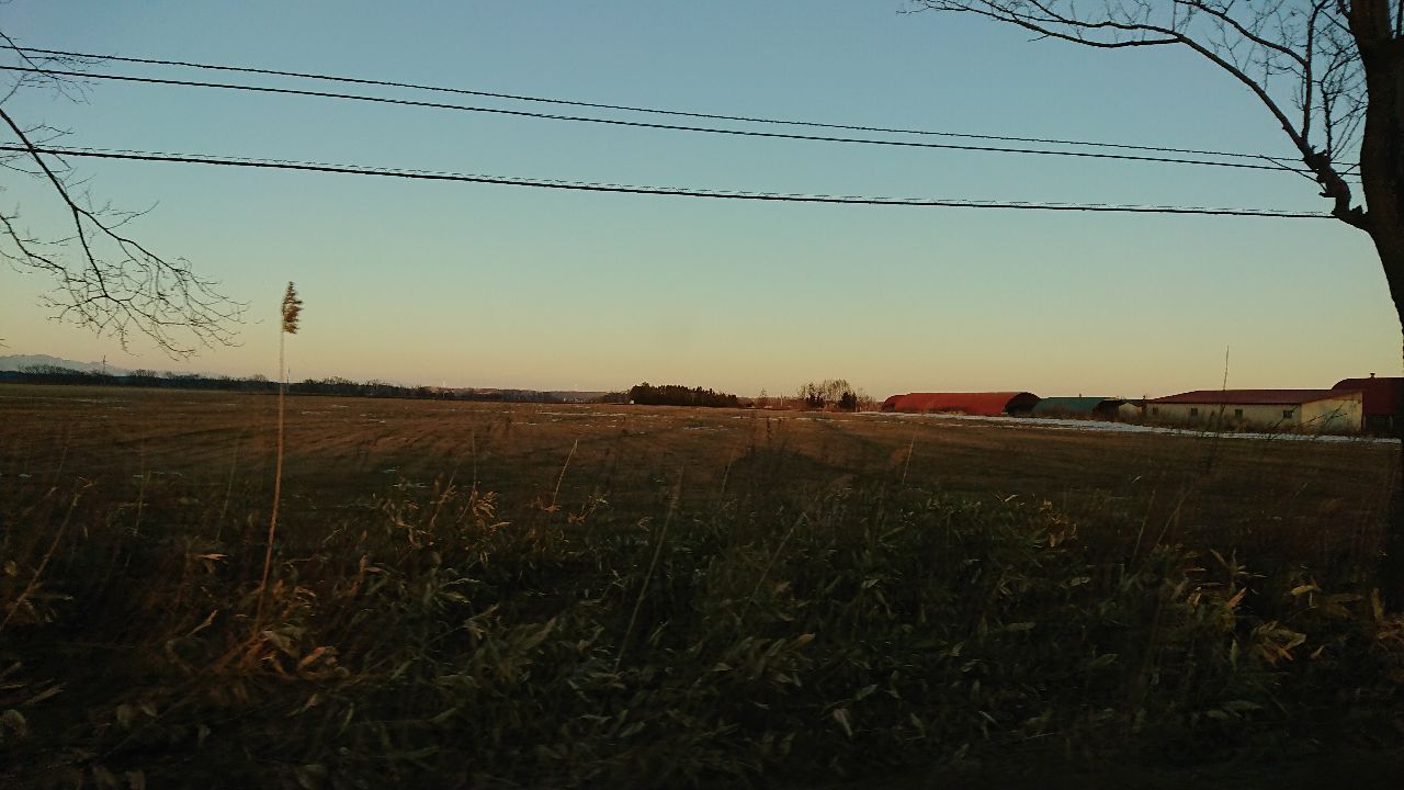 投稿の添付画像