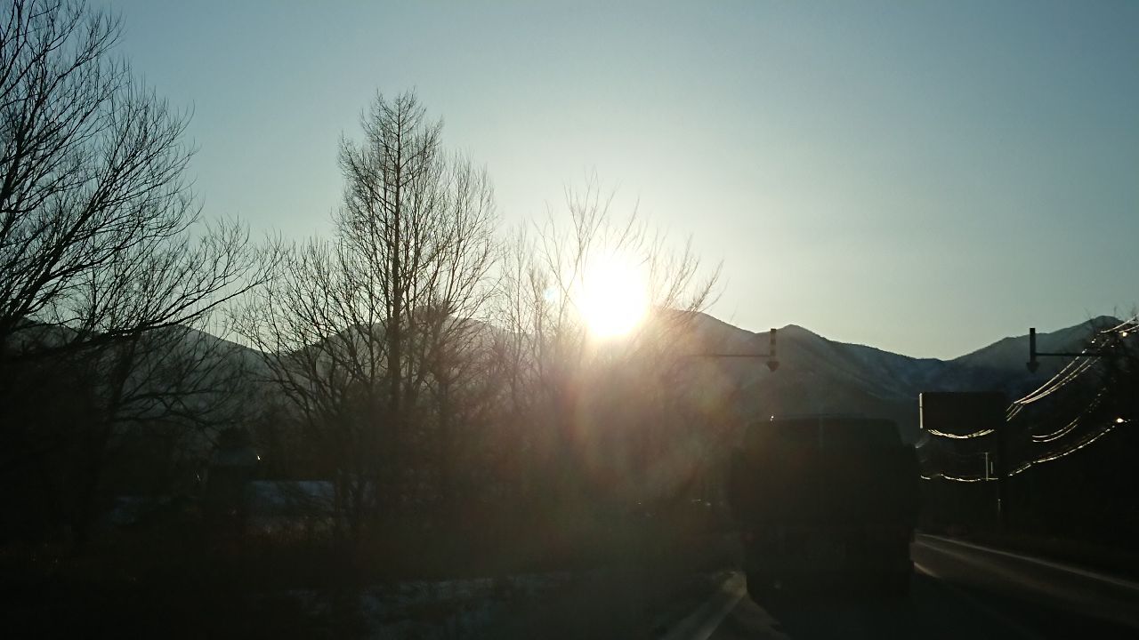 投稿の添付画像