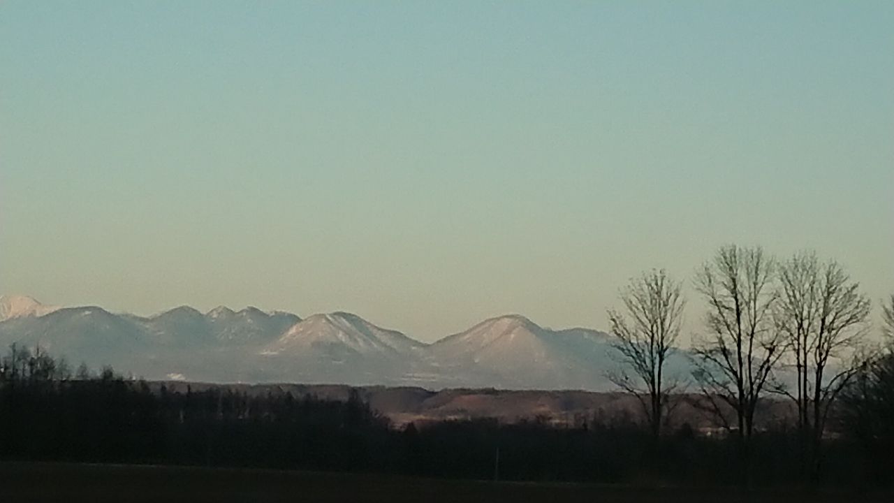 投稿の添付画像