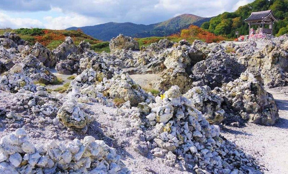 投稿の添付画像