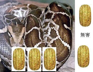 投稿の添付画像