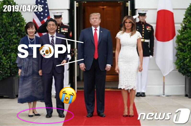 投稿の添付画像